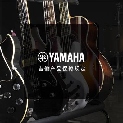 吉他、贝斯和音箱