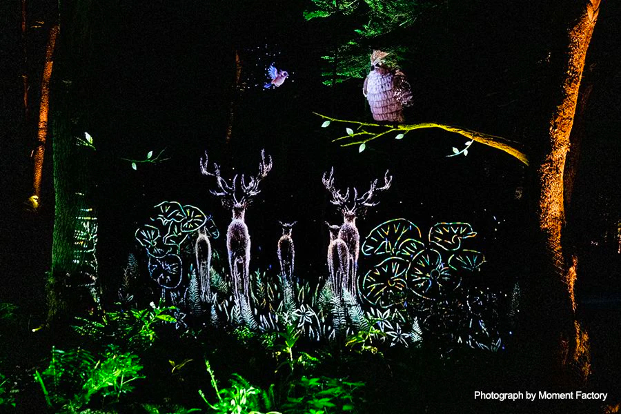 案例｜BBIN宝盈集团为壮观的Kamuy Lumina魔法夜行旅游项目提供配乐设备
