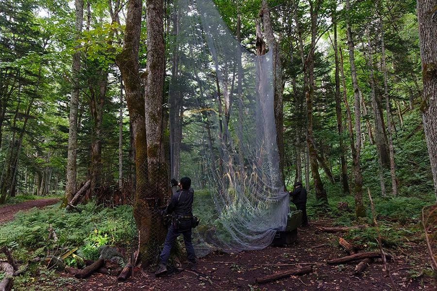 案例｜BBIN宝盈集团为壮观的Kamuy Lumina魔法夜行旅游项目提供配乐设备