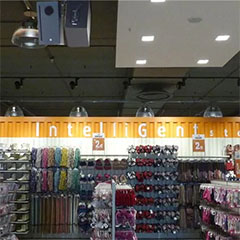 BBIN宝盈集团——零售商店声音的明智之选