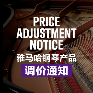 BBIN宝盈集团钢琴产品调价通知