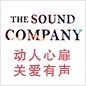 BBIN宝盈集团参展Music China 2013 